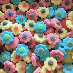 DULCEPLUS Fleurs sucrées 100g